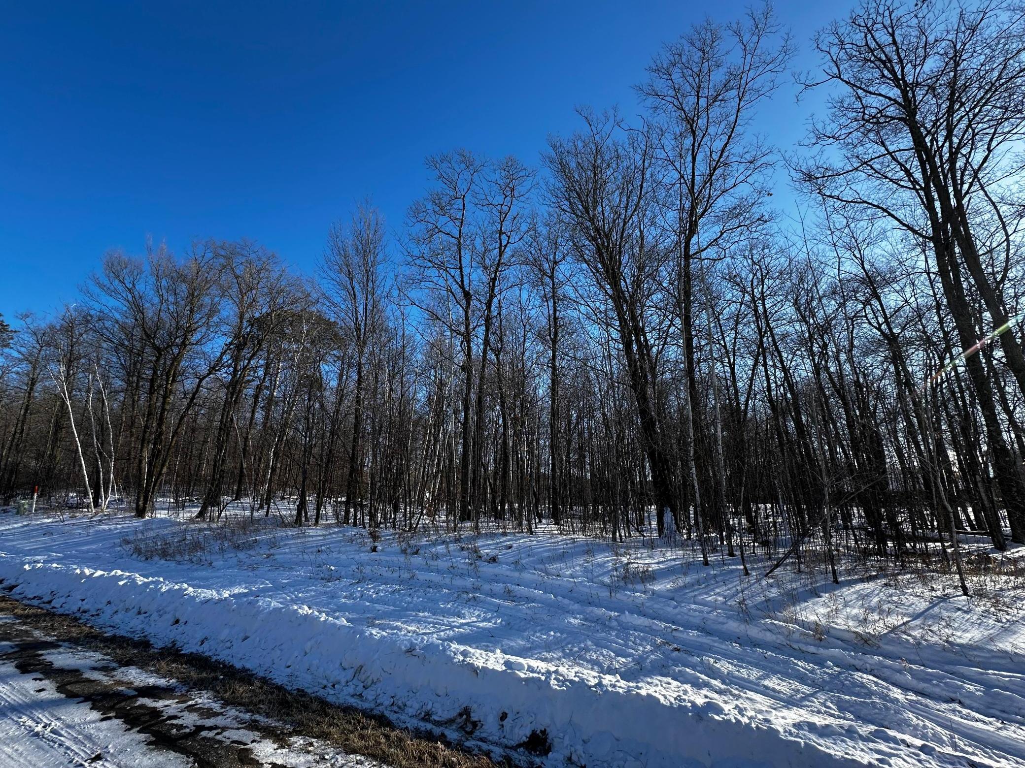 View From Road looking (NE)
