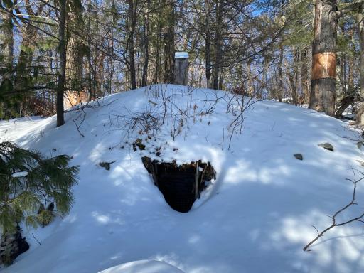 TBD Deep Woods Rd., Orr, MN 55771