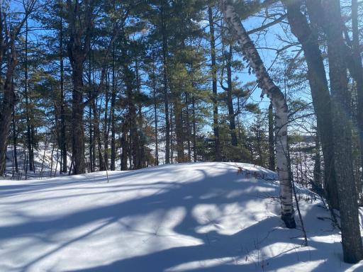 TBD Deep Woods Rd., Orr, MN 55771