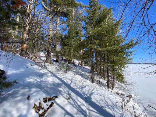 TBD Deep Woods Rd., Orr, MN 55771