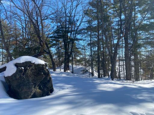 TBD Deep Woods Rd., Orr, MN 55771