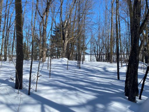 TBD Deep Woods Rd., Orr, MN 55771