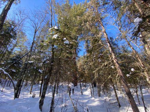 TBD Deep Woods Rd., Orr, MN 55771