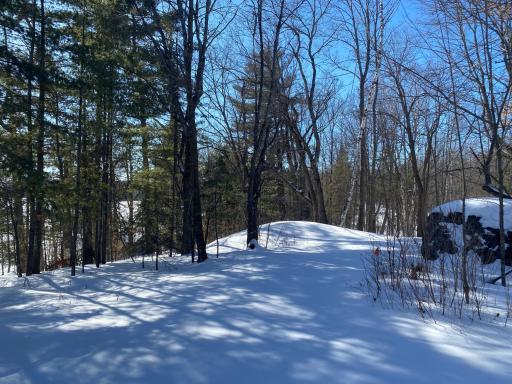 TBD Deep Woods Rd., Orr, MN 55771