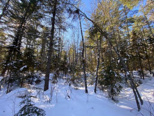 TBD Deep Woods Rd., Orr, MN 55771