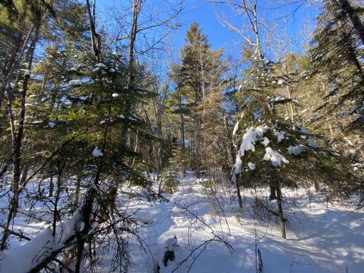 TBD Deep Woods Rd., Orr, MN 55771