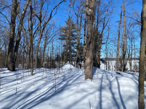 TBD Deep Woods Rd., Orr, MN 55771