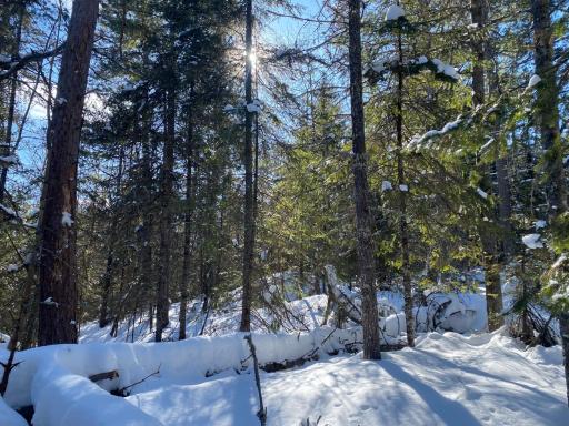 TBD Deep Woods Rd., Orr, MN 55771