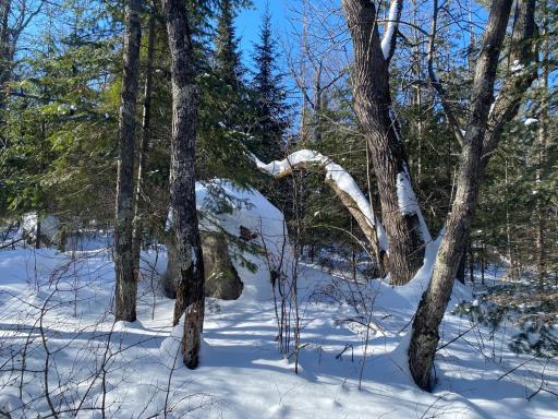 TBD Deep Woods Rd., Orr, MN 55771