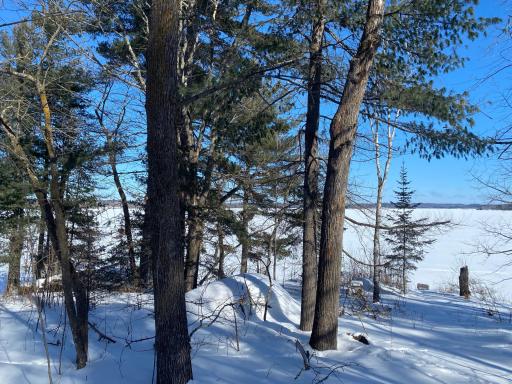 TBD Deep Woods Rd., Orr, MN 55771
