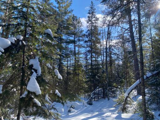 TBD Deep Woods Rd., Orr, MN 55771