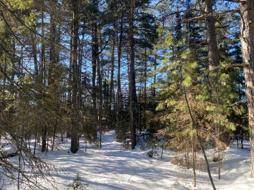 TBD Deep Woods Rd., Orr, MN 55771
