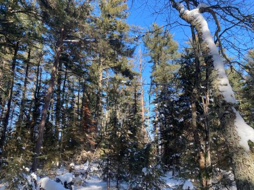 TBD Deep Woods Rd., Orr, MN 55771
