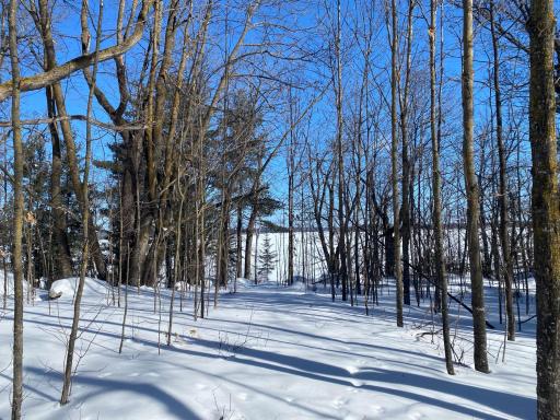 TBD Deep Woods Rd., Orr, MN 55771