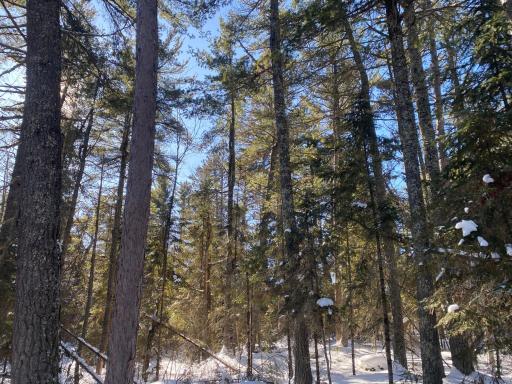 TBD Deep Woods Rd., Orr, MN 55771