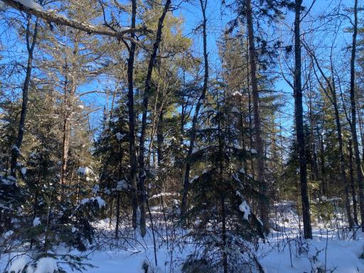 TBD Deep Woods Rd., Orr, MN 55771