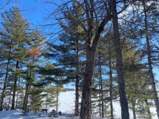 TBD Deep Woods Rd., Orr, MN 55771