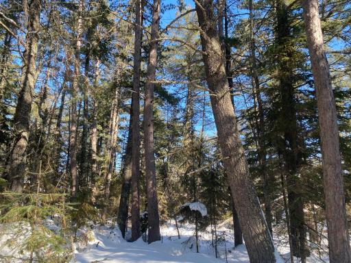 TBD Deep Woods Rd., Orr, MN 55771