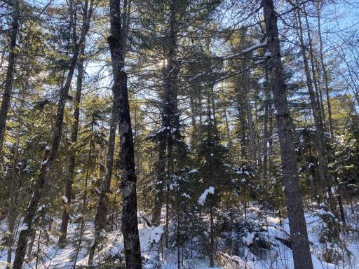 TBD Deep Woods Rd., Orr, MN 55771