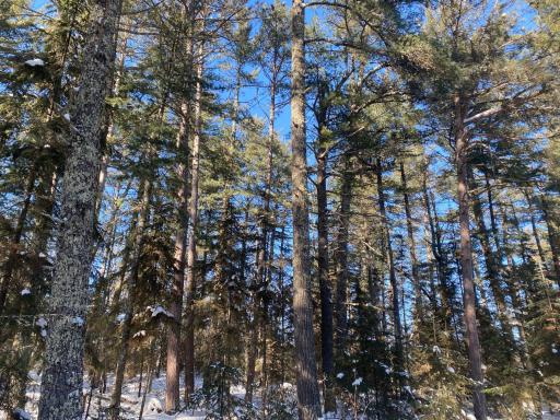 TBD Deep Woods Rd., Orr, MN 55771