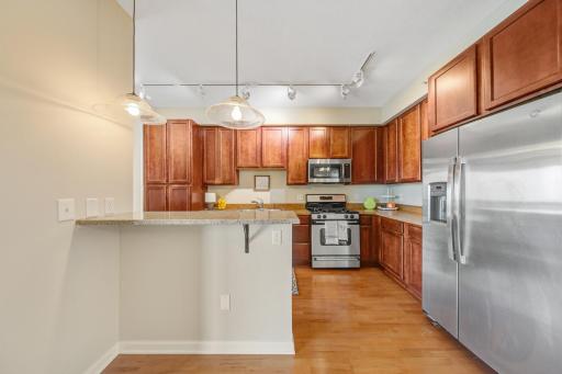 500 E Grant Street, 1905, Minneapolis, MN 55404