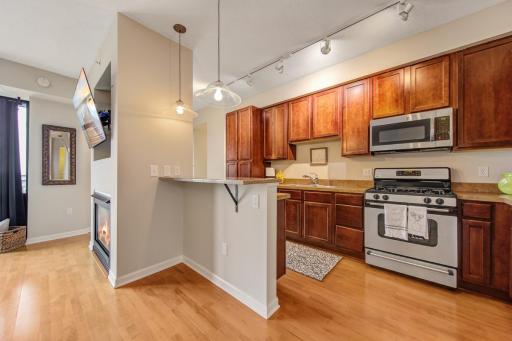 500 E Grant Street, 1905, Minneapolis, MN 55404