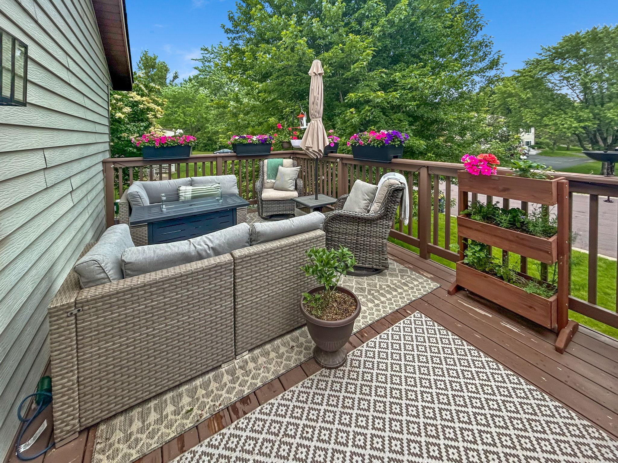 Large maple tree adds summer privacy