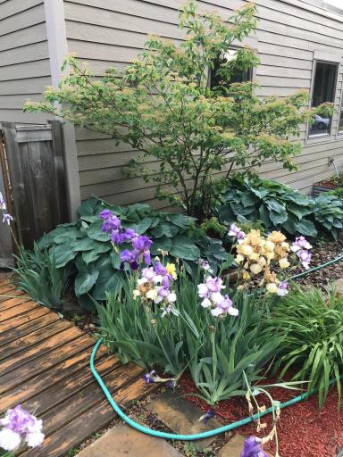 5601 Nicollet Avenue, Minneapolis, MN 55419