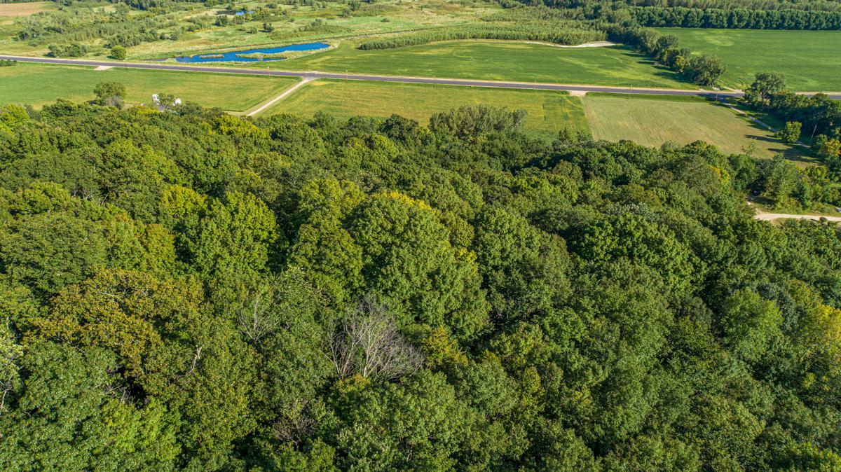 Aerial 7.jpg