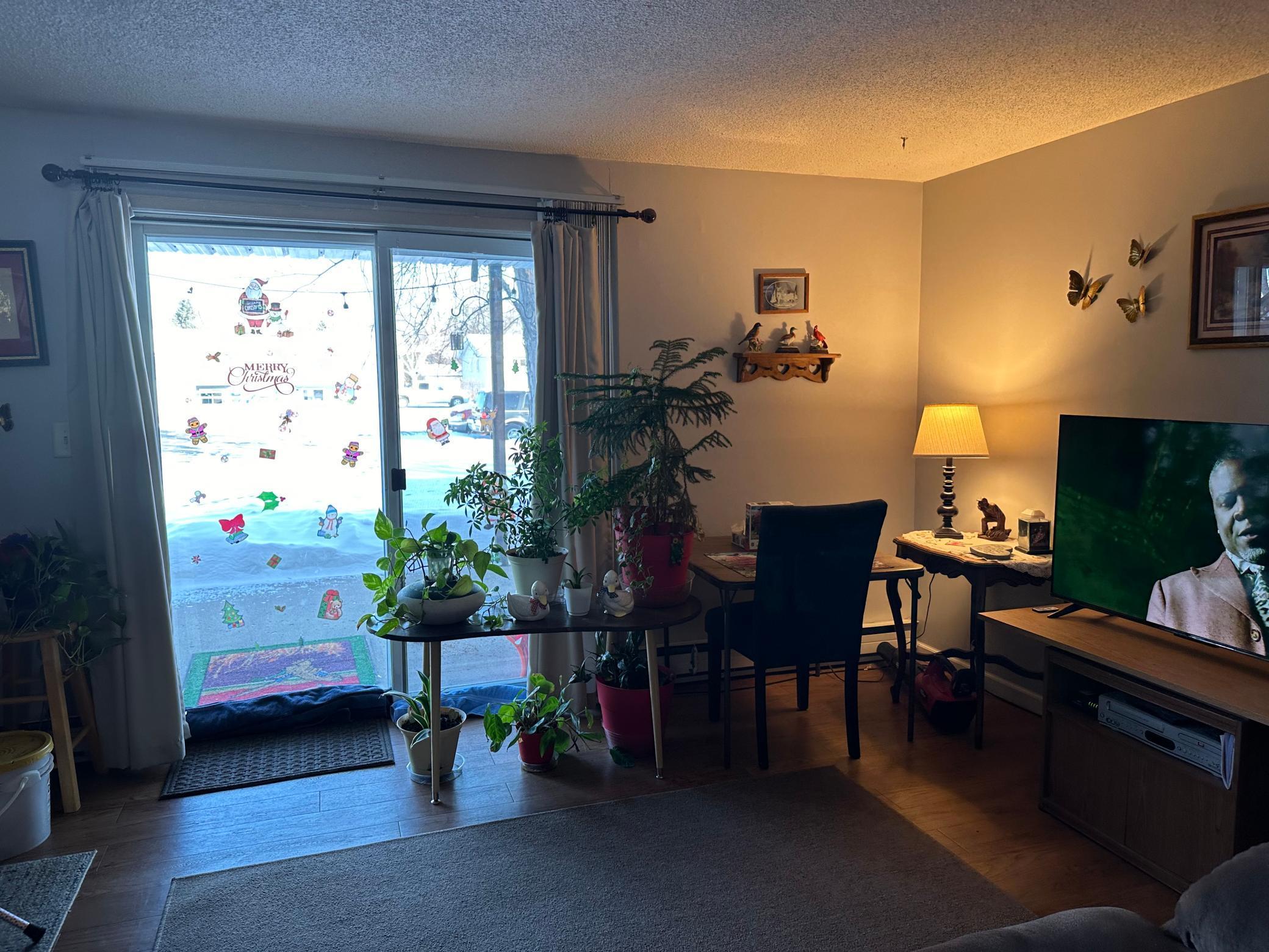 Livingroom to patio.jpg