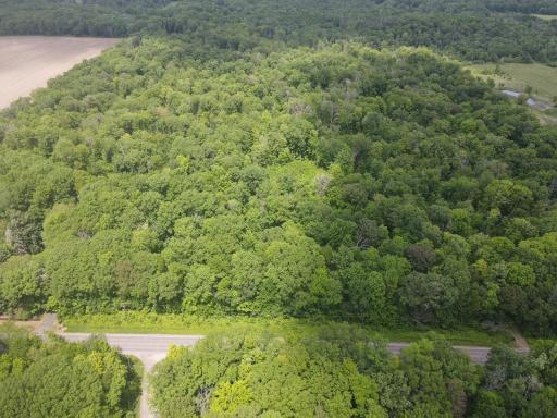 dji_fly_20250605_131728_419_1749183770147_photo.JPG