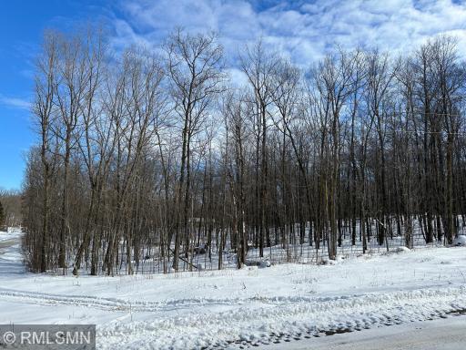 XXX 162nd Street, Amery, WI 54001