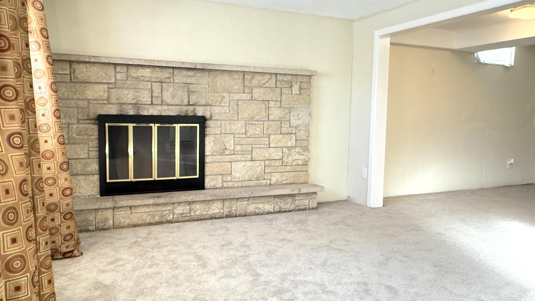Lower Level Fireplace