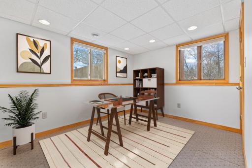 Lower Level 4th Bedroom