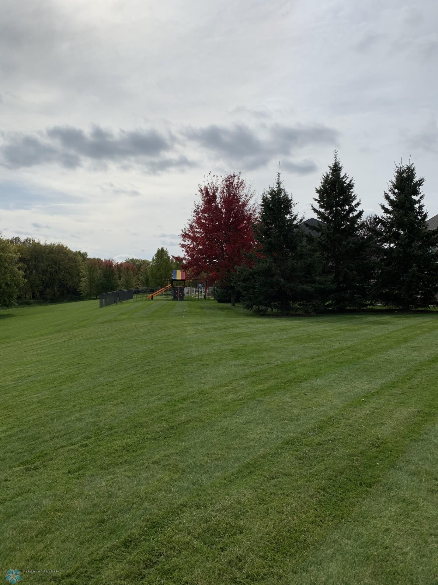 neighbors yard to the south.jpg