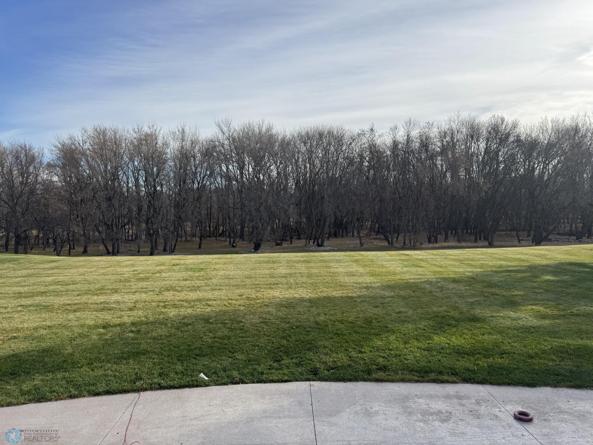 Patio view towards the river.jpg