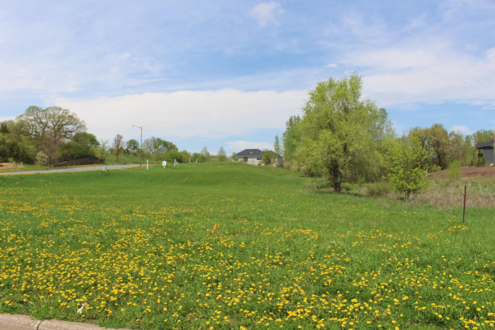 Great corner, full basement lot