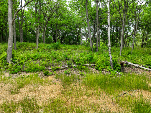 2685 Woodcliffe Trl, Hastings, MN 55033