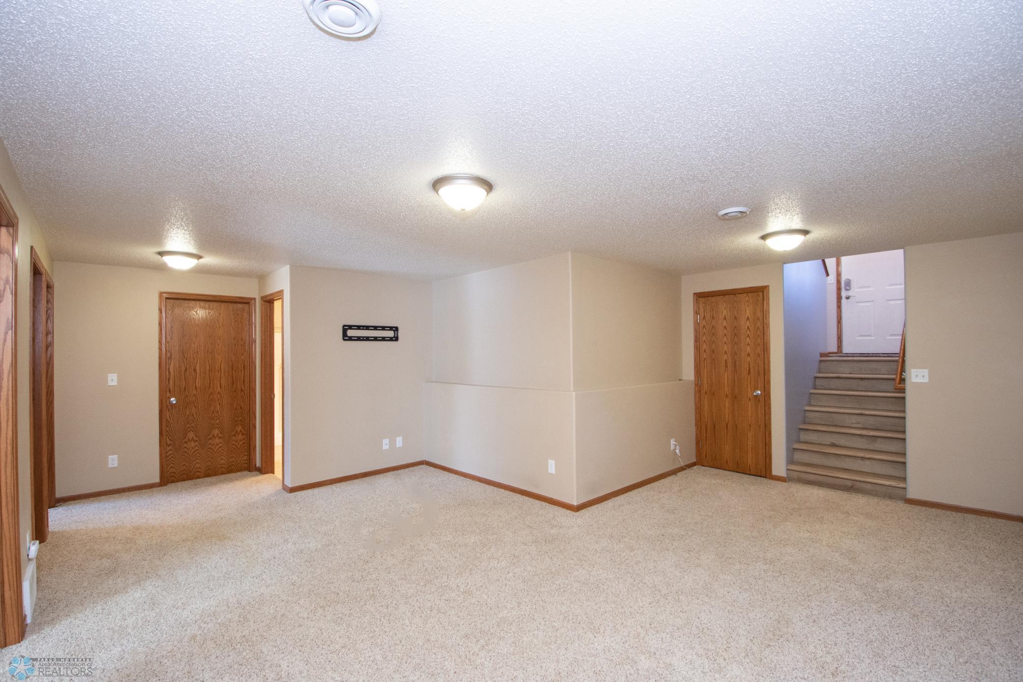 Lower level family room