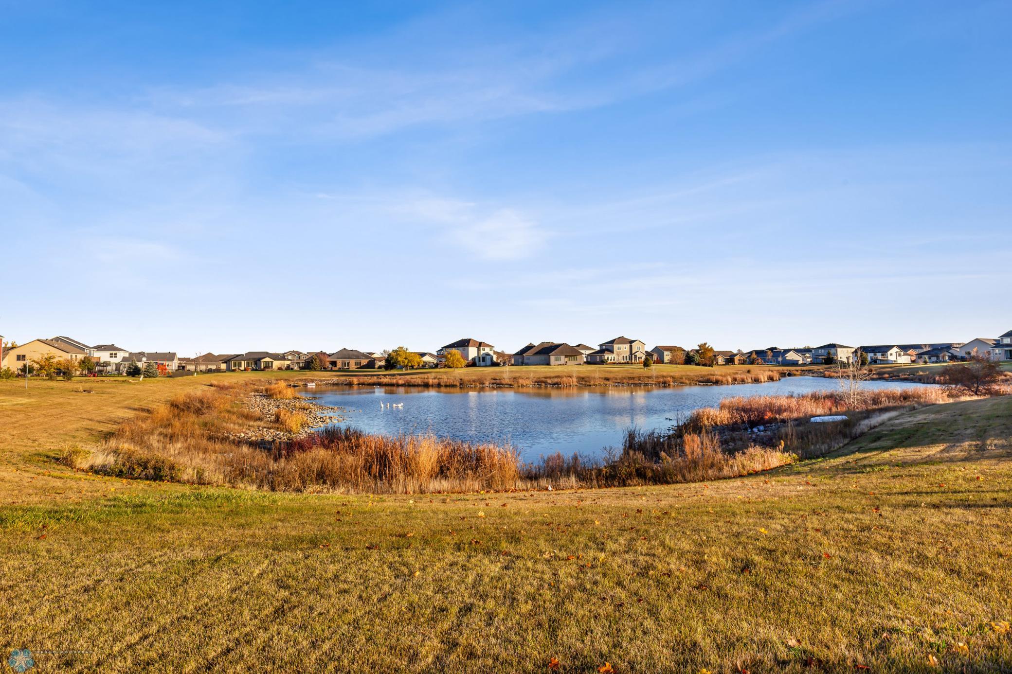 Pond