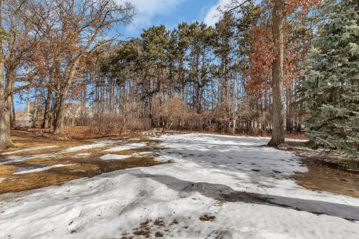 A mix of mature trees blanket the property with privacy