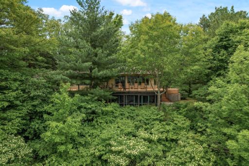 Your private abode, tucked into the forest.