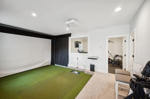 Golf Simulator for our long winter nights in MN