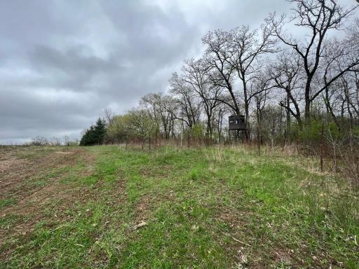 0 State Hwy 88, Alma, WI 54610