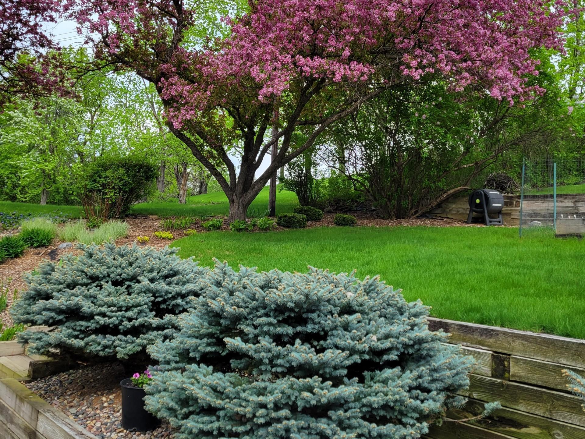 landscaped back yard with tiered levels