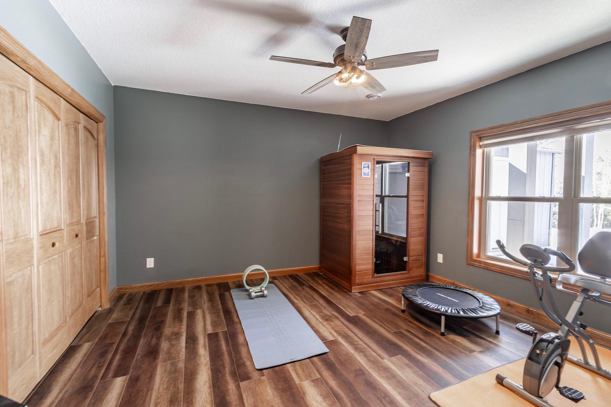 2nd lower level bedroom.