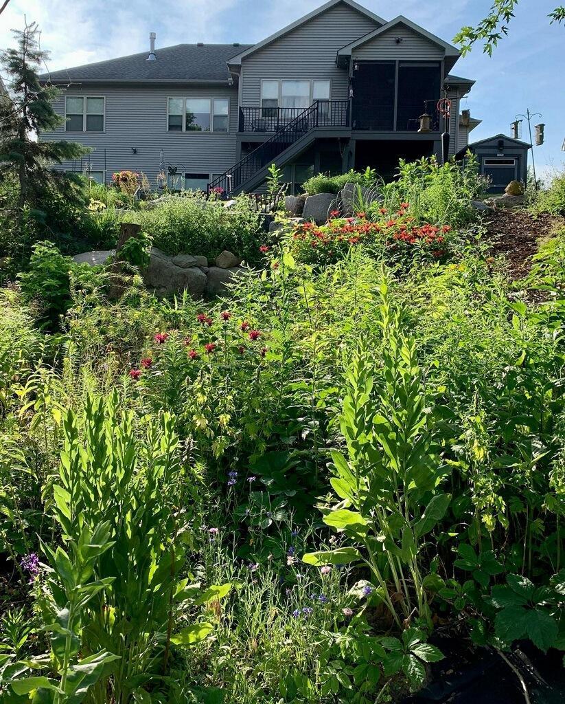 Summer view of back of home