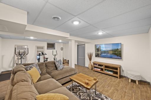 Lower level family room