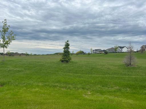 4617 Wolfberry Curve, Minnetrista, MN 55331