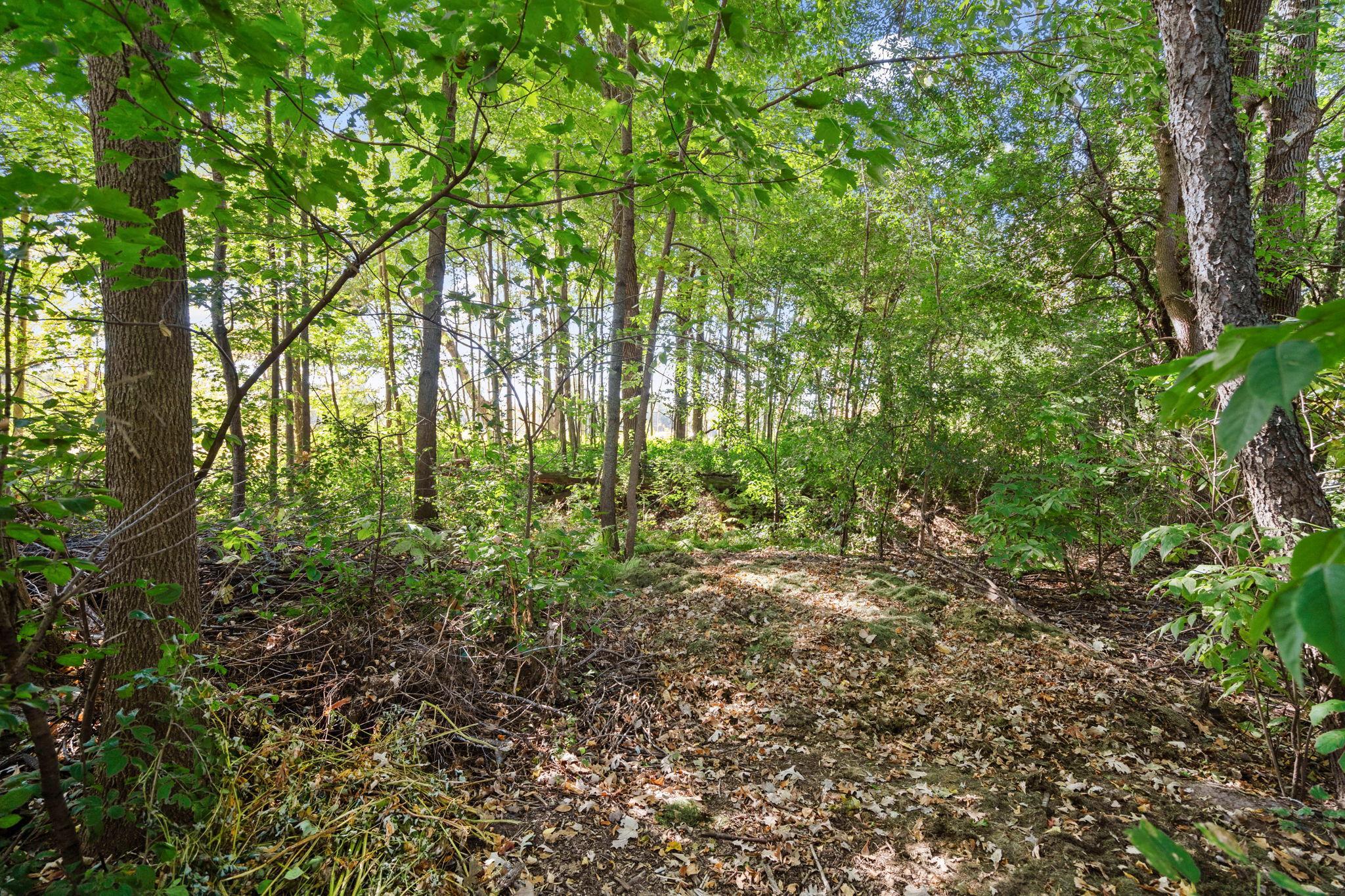 6-web-or-mls-6543 Goodwin Ln-6.jpg